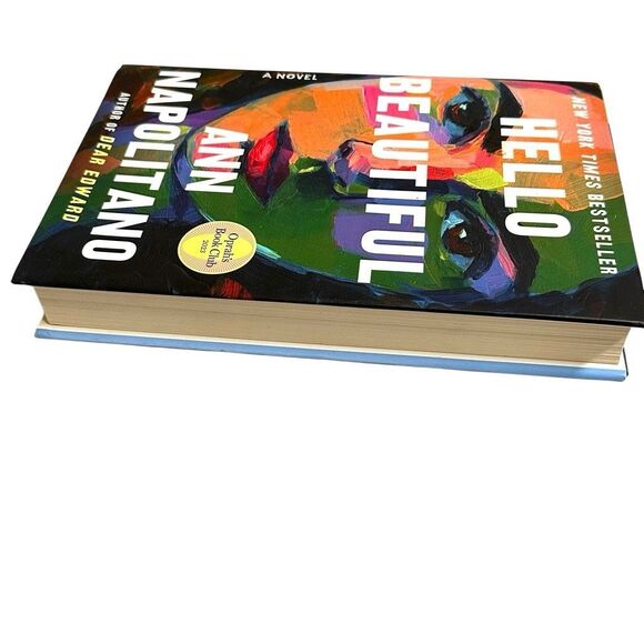 HELLO BEAUTIFUL by  ANN NAPOLITANO hardcover book - Picture 3 of 7